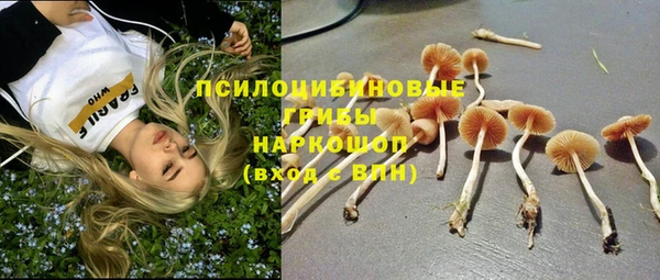 шишки Волоколамск