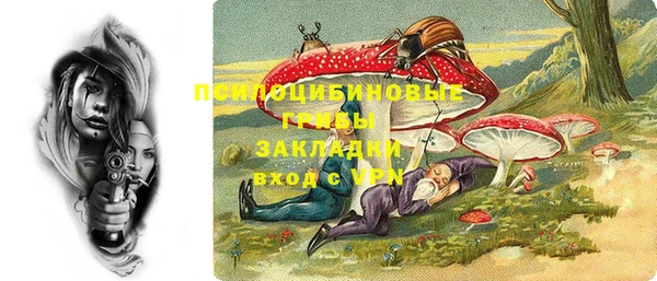 spice Володарск