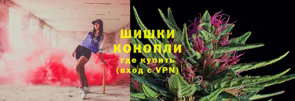 шишки Волоколамск