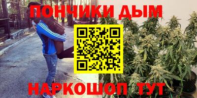jwh Моздок