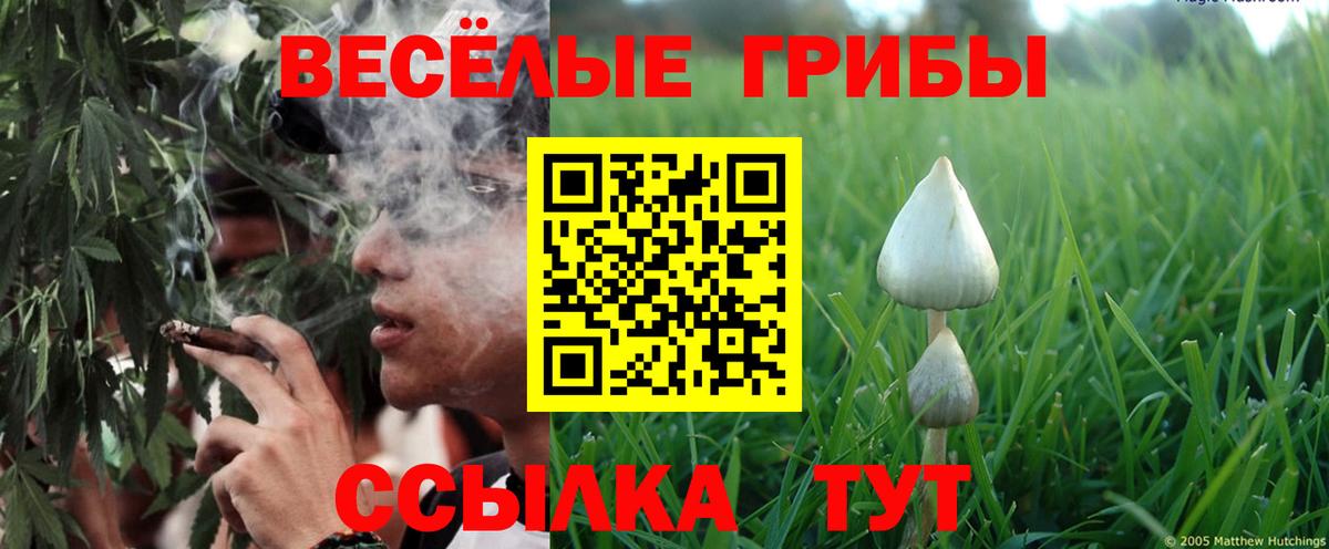Галлюциногенные грибы MAGIC MUSHROOMS  Вход с VPN  Псилоцибиновые грибы мухоморы  Железногорск 