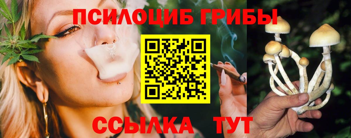 Псилоцибиновые грибы мухоморы Железногорск